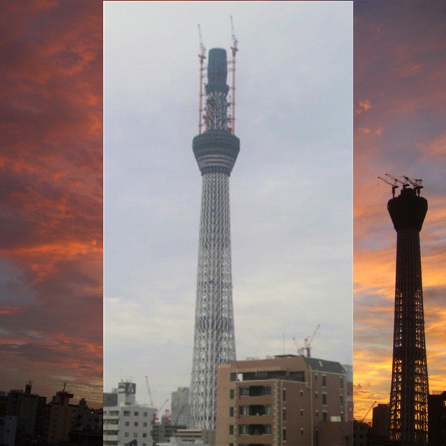 写真の説明を入れます