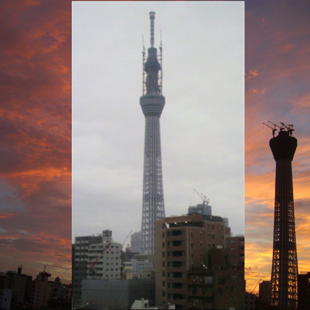 写真の説明を入れます