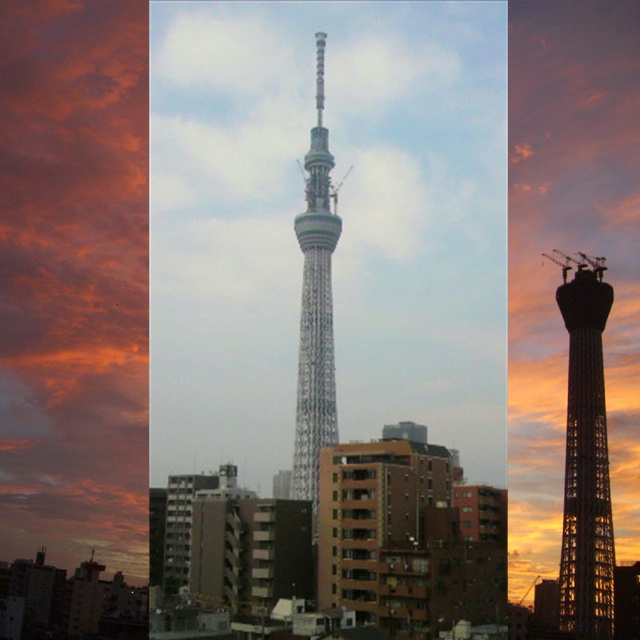 写真の説明を入れます