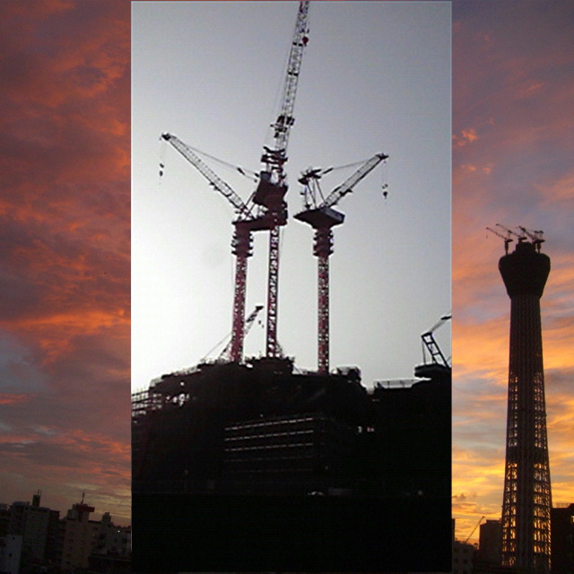 写真の説明を入れます