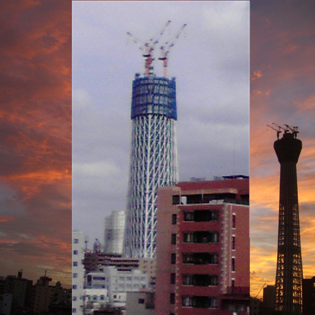 写真の説明を入れます